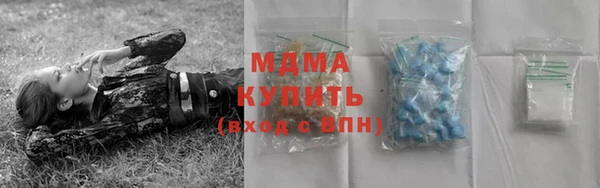 хмурый Бородино