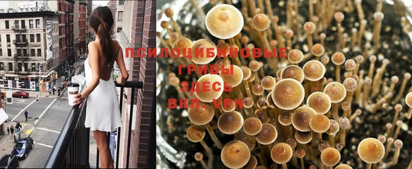 трава Арсеньев