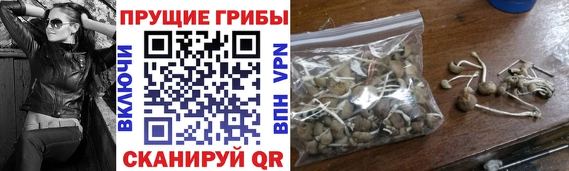 мега ссылки  Ярцево  Галлюциногенные грибы GOLDEN TEACHER 