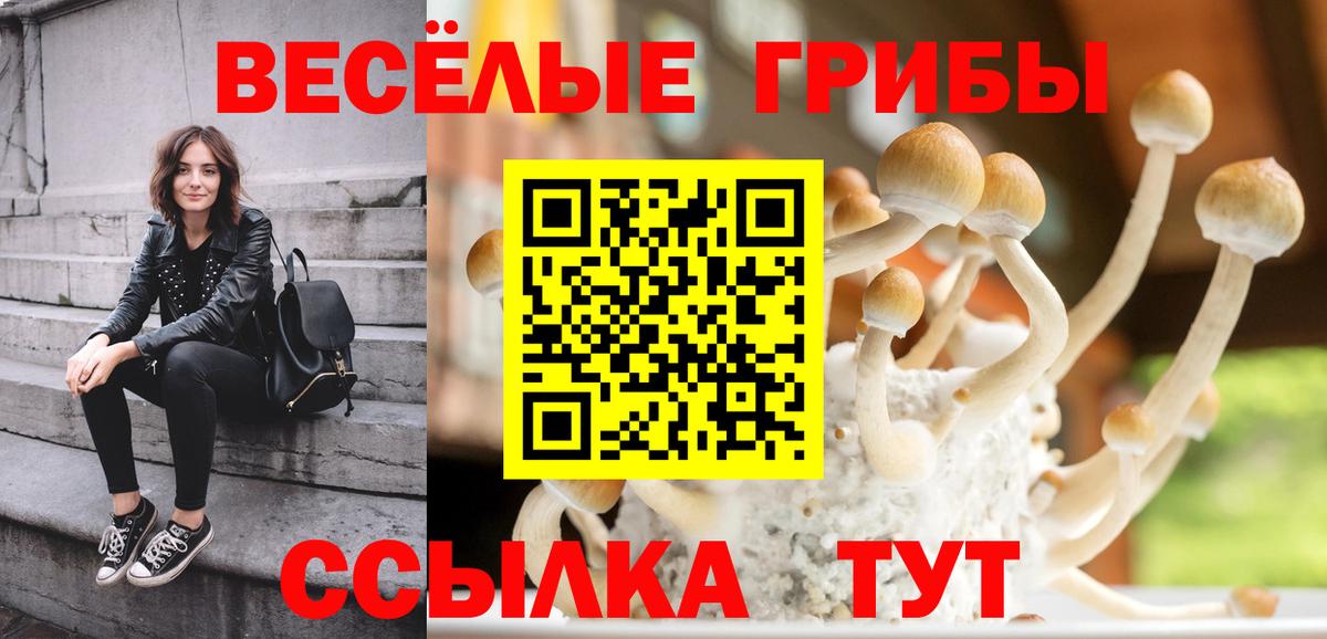 Галлюциногенные грибы мухоморы  Вход с VPN  Ярцево 